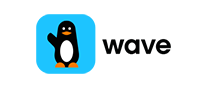 Wave Money Transfer